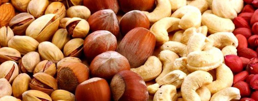 6 Nobres frutos secos 6 Nobres frutos secos